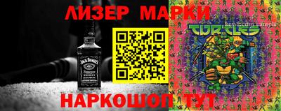 крисы Пенза