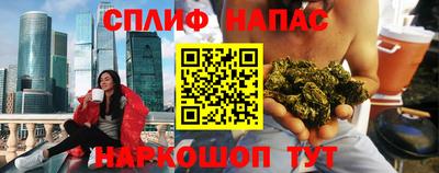 крисы Пенза