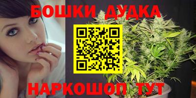 шишки Партизанск