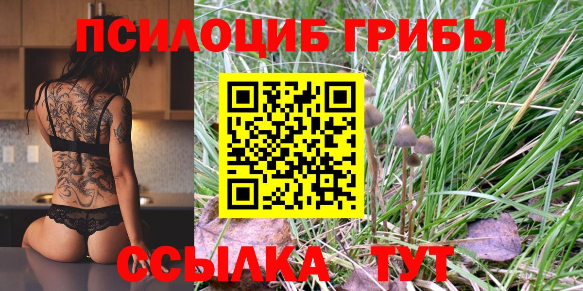 Унеча  Галлюциногенные грибы Cubensis  Псилоцибиновые грибы Magic Shrooms  Вход с VPN 